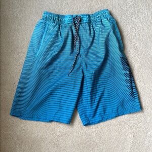 Nike Blue Board Shorts Quick-Dry Swimwear